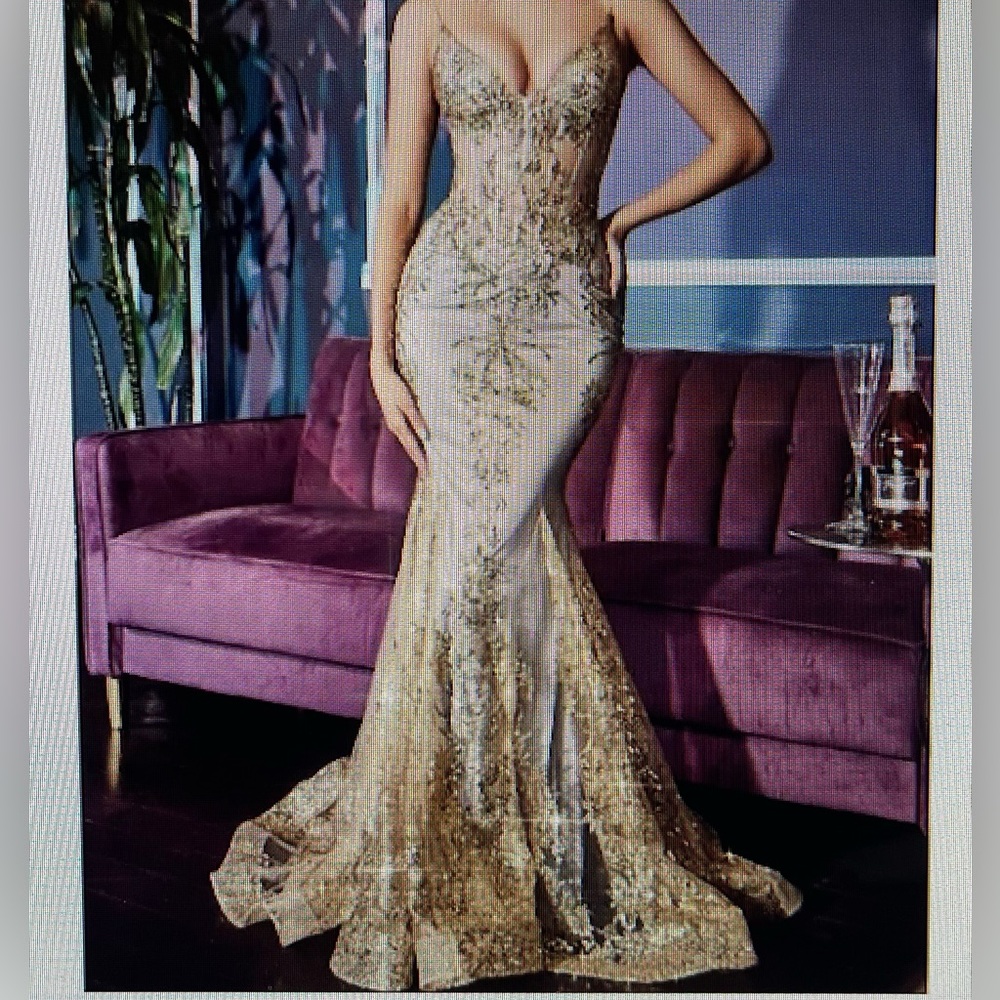 Cinderella Divine Gold Mist Gown